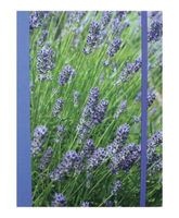 Lavender Blue Hardback Notebook (Notebook / blank book) - Cico Books Photo