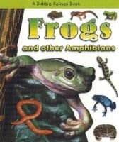 Frogs and Other Amphibians (Paperback, New ed) - Bobbie Kalman Photo