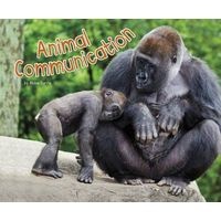 Animal Communication (Hardcover) - Abbie Dunne Photo