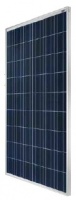 RenewSys Deserv Prime 260Wp High Voltage solar panel Photo