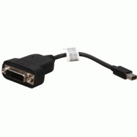 Sapphire Mini DisplayPort to DVI-D Active Adapter Cable Photo