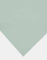 Sheraton Flat Sheet Green Photo