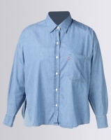 Levi's Â® Darcy Shirt Blue Photo