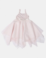 Fairy Shop Lace And Soft Tulle Hanky Dress Blush Photo