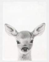 Royal T Deer Wall Art Black And White Photo