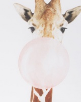 Royal T Giraffe Bubble Grey Photo