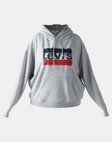 Leviâ€™s Â® Plus Size Graphic Hoodie Sportswear Logo Smokestack Grey Photo