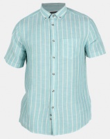 JCrew Green Vertical Stripe Shirt Photo