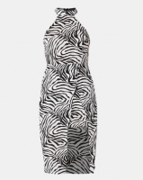 AX Paris Zebra Print Choker Neck Dress Black/White Photo