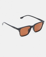 Joy Collectables Polorized Wayfarer Sunglasses Brown/Black Photo