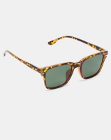Joy Collectables Polorized Wayfarer Sunglasses Tort/Green Photo