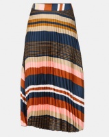 Revenge Striped Pleated Skirt Multi Navy Photo
