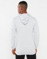 ASICSTIGER AHQ At FT FZ HD Hoodie Grey Photo