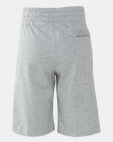 Nike Boys Jersey Shorts Grey Photo