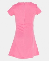 Polo Girls Tiana Short Sleeve Paneled Dress Pink Photo