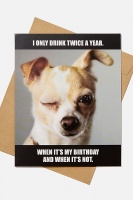 Typo - Funny Birthday Card - Only drink twice a year! Photo