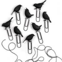 Fred Friends Birds on a Wire Picture Hanger Photo