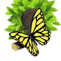 VW Yellow Butterfly 3D Deco Light Photo