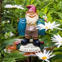 Lego Perverted Garden Gnome Photo