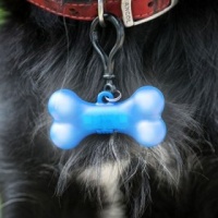Star Wars Blink Petz LED Dog Collar Light - Blue Photo