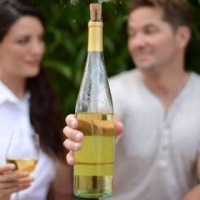 Corkcicle Wine Chiller - Classic Photo