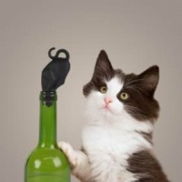 Fred Friends Stop Kitty! Wine Stopper Photo
