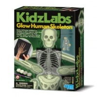 Glow Human Skeleton Science Kit Photo