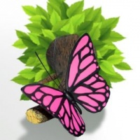 VW Pink Butterfly 3D Deco Light Photo