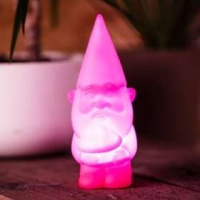 Star Wars Gnome Light - Pink Photo