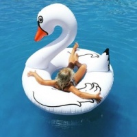 Lego Giant White Swan Pool Float Photo