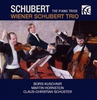 Nimbus Alliance Schubert: The Piano Trios Photo
