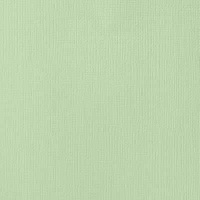 American Crafts Textured Cardstock - Peapod Photo