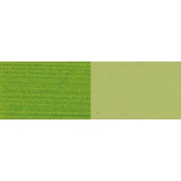Lascaux Artist Acrylic - Chrome Oxide Olive Green Photo