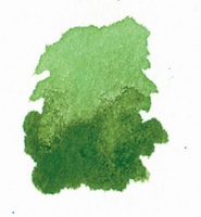 Dr Ph Martins Dr. Ph. Martin's Hydrus Liquid Watercolour - Sap Green Photo