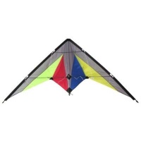 Allwin Kites - Delta Stunt Kite Dual Line 120x60cm Photo