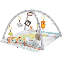 Fisher Price Fisher-Price Perfect Sense Deluxe Gym and Plush Play Mat Photo