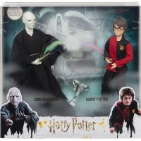 Harry Potter Collector's Gift Set with Lord Voldermort and Photo