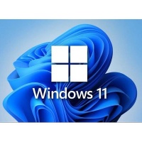 Microsoft Windows 11 Home DSP DVD Photo
