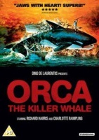 Canal Orca - The Killer Whale Photo