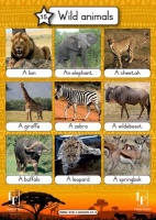 Lingua Franca Publishers Wild Animals Chart Photo