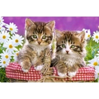 Castorland Kittens In Basket Puzzle Photo
