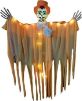 Koleda Skeleton Groom with Lights Photo