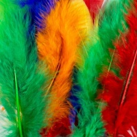 Dala Mixed Feathers - 15cm Photo