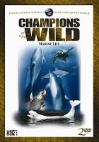 Champions of the Wild: Marine Life Photo