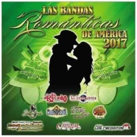 Universal Music Group Las Bandas Romanticas De America 201 CD Photo