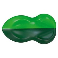 Schmincke AERO Color Professional Fluid Acrylic - Permanent Green Photo