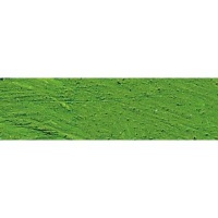Williamsburg Oil Colour - Cadmium Green Photo