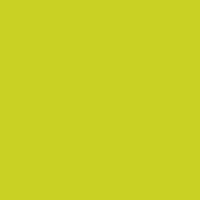 Unison Soft Pastels Large Pastel - Yellow Green Earth 9 Photo