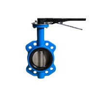 Agrinet Compact Cast Iron Lever Butterfly Valve Photo