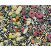 Complete Seed Parrot Special Mix Photo
